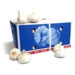 GARLIC FRESH BOX 10KG